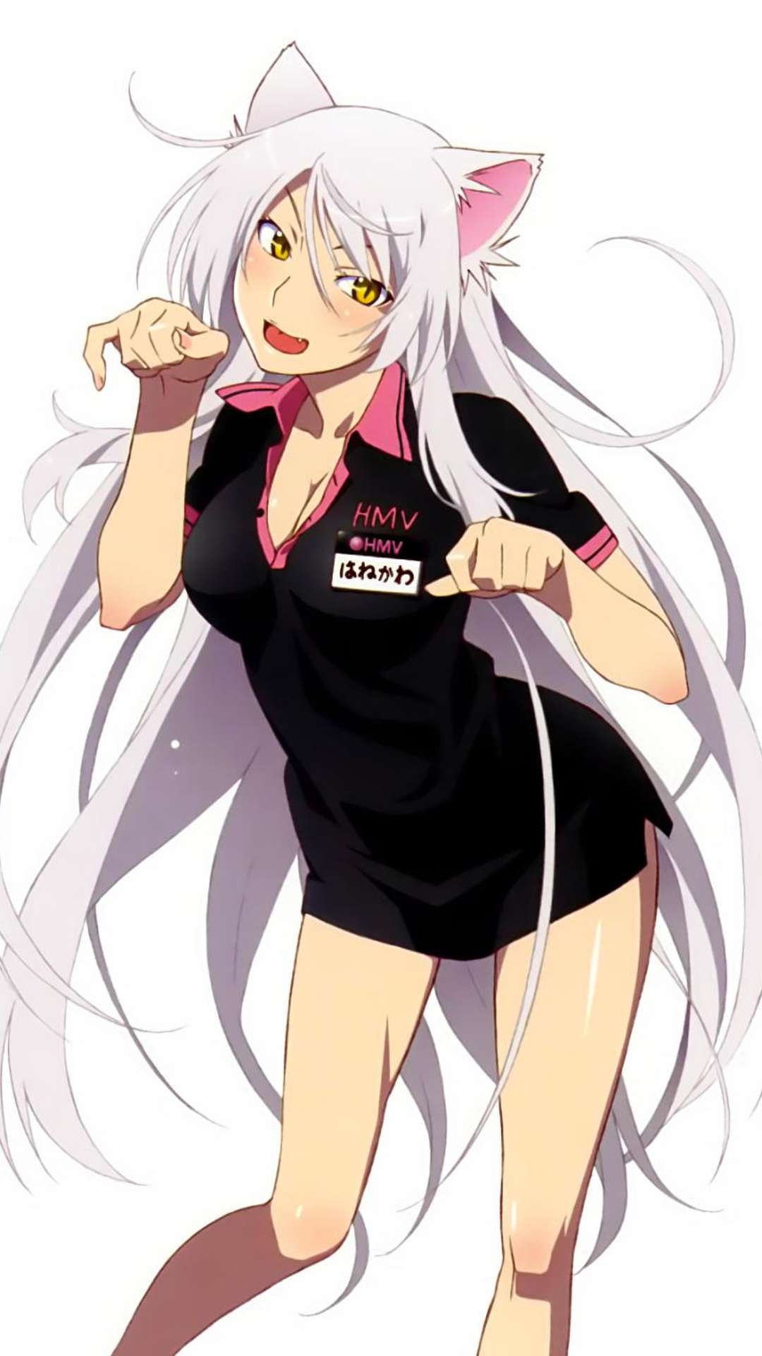 Tsubasa Hanekawa